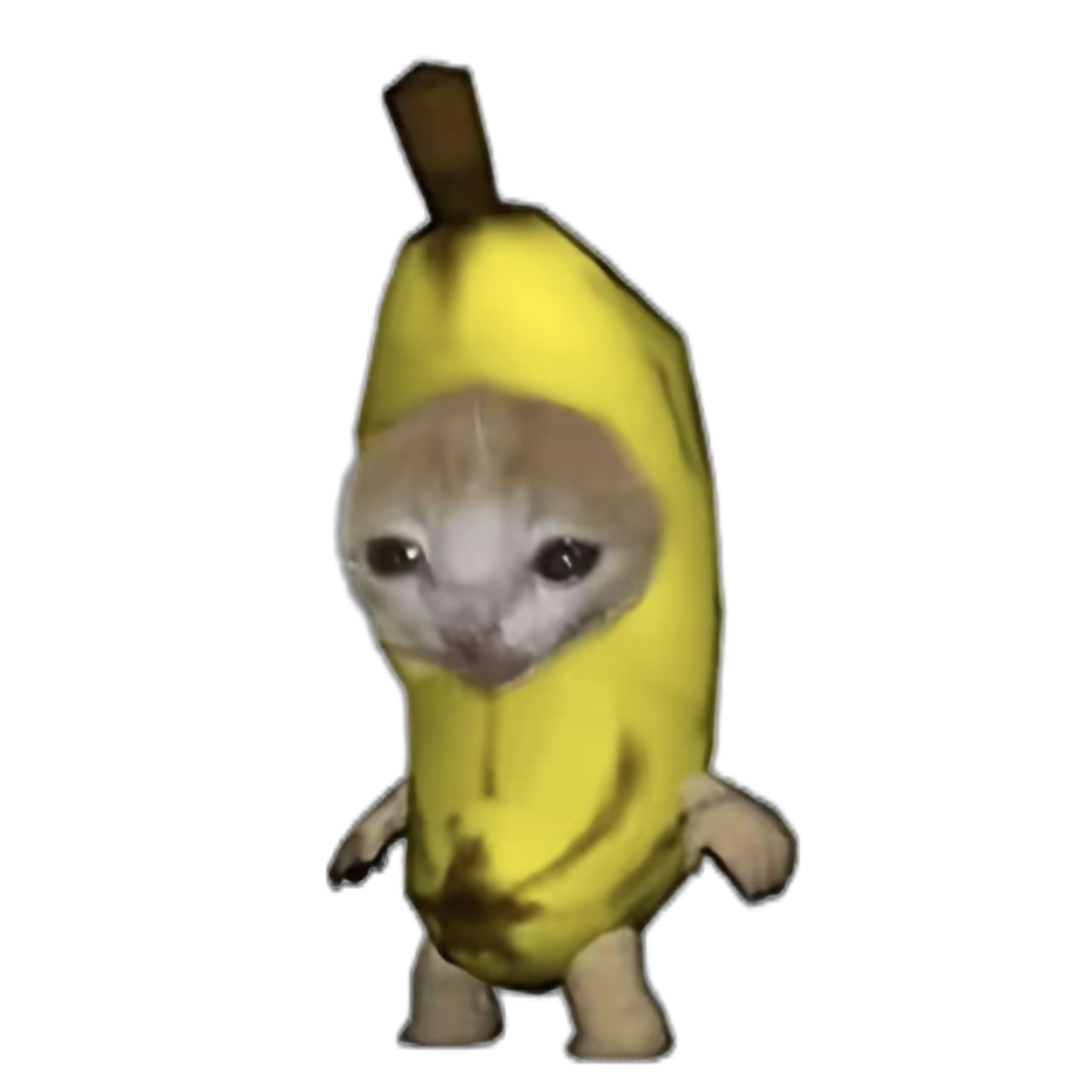 香蕉猫