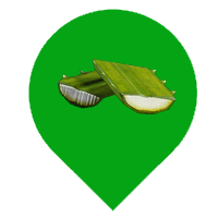龙舌兰