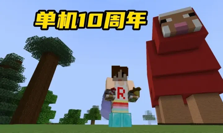 《单机生存开档十周年》封面